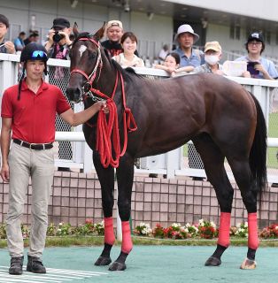武豊インタビュー「やっぱりサイレンススズカの金鯱賞は衝撃的だった