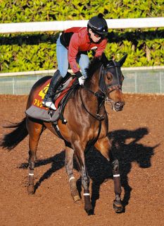 デアリングタクト史上初の無敗3冠牝馬へ 杉山師「秋華賞をピーク