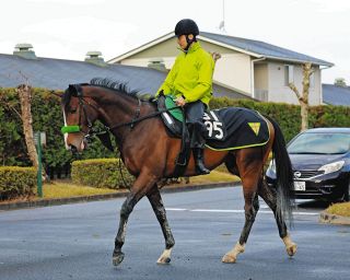 大井競馬】武豊のディープインパクトは「飛んでいた」 「JRA