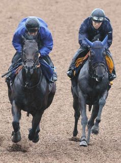 1996年皐月賞馬、イシノサンデー死す 31歳、通算22戦6勝 父は