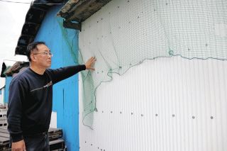 çŸ¥å¤šåŠå³¶ã®é¤Šé¶å ´çµŒå–¶è€…ã‚‰ã€Œã¾ãŸã“ã®å­£ç¯€ãŒâ€¦ã€ã€€é³¥ã‚¤ãƒ³ãƒ•ãƒ«ã‚¨ãƒ³ã‚¶ã¾ã‚“å»¶æ‡¸å¿µã§å¯¾ç­–å…¥å¿µ