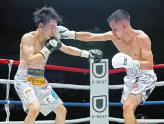 ラグビー日本代表、オールブラックスに大敗 FB矢崎由高、後半26