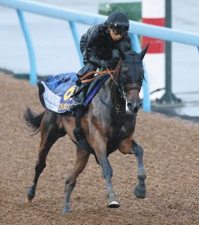 フォーエバーヤング、ダート三冠最終戦V 坂井瑠星、BCクラシックへ