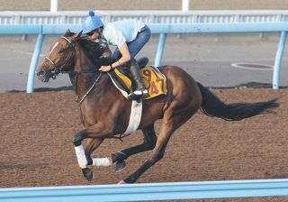 1996年皐月賞馬、イシノサンデー死す 31歳、通算22戦6勝 父は