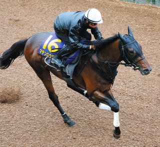 2000年のダービー馬アグネスフライトが老衰で死ぬ 26歳 ：中日スポーツ