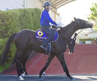 ワグネリアン天国へ 18年の日本ダービーV 昨年JC後に体調を崩し入院も