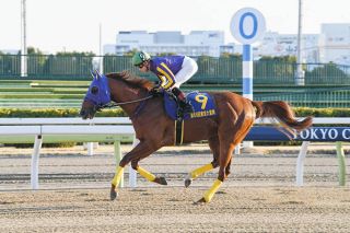 日本ダービーに皐月賞3着ドウデュースを送るキーファーズの松島正昭