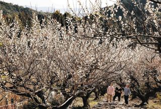 バイク世界一周、ヤマハ発動機OB吉田さん 58年越しアンデス山脈