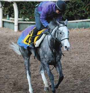 皐月賞馬ジャスティンミラノが電撃引退、種牡馬に…友道師「長所