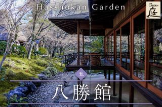 日本庭園特集「THE GARDEN」：中日新聞Web