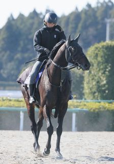 セレクトセール】まさに桁違い…イクイノックス×サウジC勝ち馬が5億8000