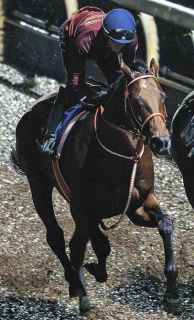 函館記念】デビュー4年目の小林美駒騎手がほろ苦い重賞初制覇