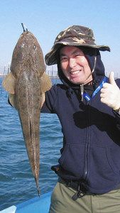 マゴチ６７センチ　４３センチサゴシも　揖斐川河口ボート
