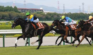 2002年皐月賞馬、ノーリーズン死す 25歳 通算12戦3勝：中日