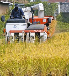 れんげちゃん、ザクザク収穫　愛知県阿久比町のブランド米「たくさん食べて」