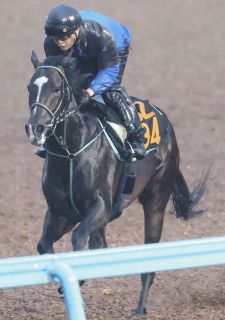 東京大賞典】単勝7番人気ディクテオン差し切りG1初勝利、20年ぶりの