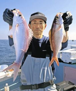 ヒメダイ続々舞う　三重・南伊勢船越出船