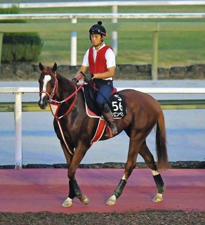 アスクワイルドモア前走10着の敗因は『落鉄』…蹄鉄は競走能力をそぐ  