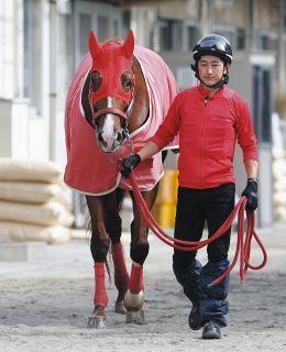 レモンポップ、地力見せつけJpn1昇格レース制す 坂井瑠「記念す