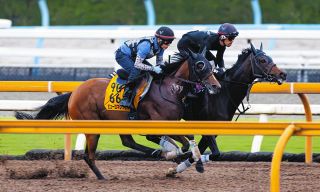 03年スティルインラブ以来の「紅梅S＆桜花賞」W勝利へ…成長中の