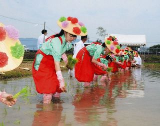 早乙女姿の高校生が丁寧に苗植える　津島神社の「お田植祭」