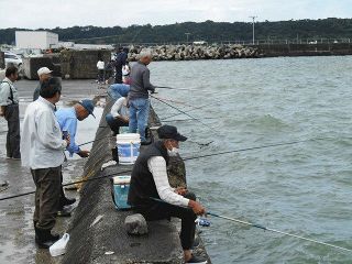 静岡県御前崎港をウォッチング　ワカシ、アジ、イワシが釣れ盛る