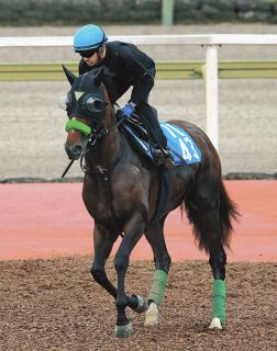 ウマ娘』藤田晋社長、馬主として重賞初制覇！ ジャングロが武豊で