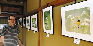 野鳥と風景の写真を展示する北川さん＝尾鷲市天満浦の天満荘で