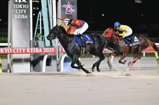 レモンポップ、地力見せつけJpn1昇格レース制す 坂井瑠「記念す