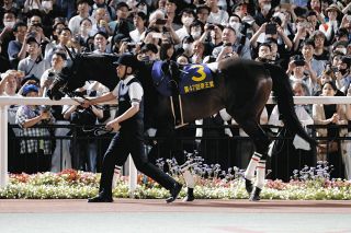 ジオグリフ号 2022年皐月賞優勝記念ブルゾン Amazon.co.jp: 競馬 ブルゾン ジャンパー ジオグリフ 皐月賞勝利記念
