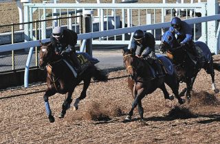 亡き父から「『いい仕事したな』と珍しく褒めてもらえた気がした