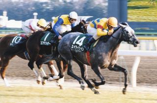 数々の名勝負演じたグラスワンダー死す、98年有馬記念を制し99年に宝塚