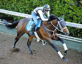 チャーチルダウンズS】日本調教馬のテーオーエルビスがG1