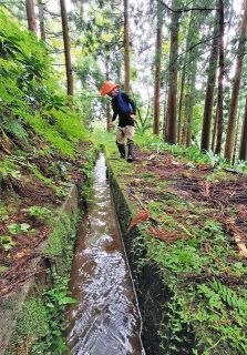 【田んぼ記者 挑戦記】（７）命の水 夏枯れを防げ