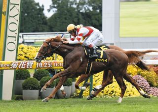 【萩S】4番人気イッペイ差し切り2連勝　直線ラスト100メートルからの逆転劇に浜中騎手「しっかり伸びてくれた」