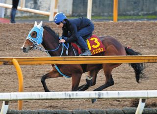 ドバイターフ】パンサラッサが同着V…吉田豊はデットーリと仲良く表彰台、矢作厩舎はドバイワールドカップデー3勝目：中日スポーツ・東京中日スポーツ