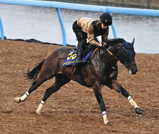 ワグネリアン天国へ 18年の日本ダービーV 昨年JC後に体調を崩し入院も