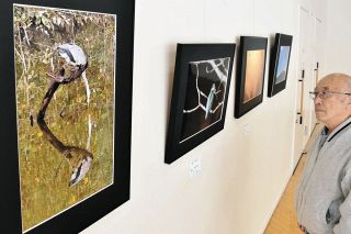 鳥や自然の一瞬を切り取る　東郷町文化協会写真部が展示