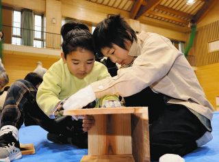 巣箱を毎年作り替え30年　天龍小中児童らブッポウソウの保護活動