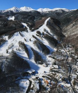 平野富山 独自の表現世界 故郷・静岡で初の回顧展：中日新聞Web