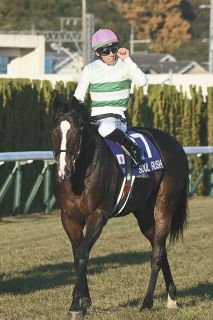 セレクトセール】”ウマ娘”藤田晋社長が落札した9頭は合計で11億円弱