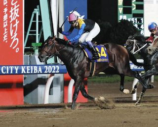 2000年のダービー馬アグネスフライトが老衰で死ぬ 26歳 ：中日スポーツ