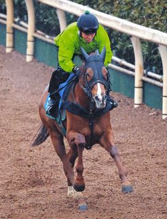 皐月賞】エフフォーリアが無傷4連勝で圧巻V「最高です」初G1制覇の横山