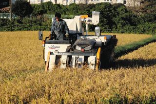 向瀬 孝之(1956～2022年) 石川県宝達志水町 陶芸家：北陸中日新聞Web