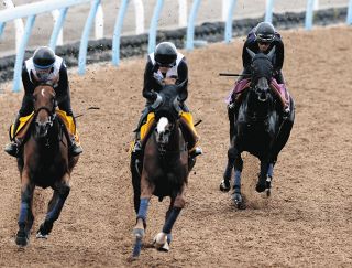【アルテミスS・追い切り】プルヴィナル3頭併せで抜群の動きラスト1F馬なり11秒5　栗田師「本当に良い走り。ブレなく、芯がしっかりしていた」