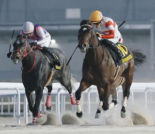 福永祐一の引退式3・4に実施、当日は入場者先着2万人に「福永祐一引退