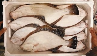 ï¼œãã‚‹ã£ã¨å¸‚å ´ï¼žã‚¤ã‚·ã‚¬ãƒ¬ã‚¤è±Šæ¼ã€ãŠã™ã™ã‚ã¯ç…®ä»˜ã‘ã€€æ„›çŸ¥ã€ä¸‰é‡ç”£ã®ãƒŸã‚«ãƒ³ã®å“è³ªè‰¯ã„