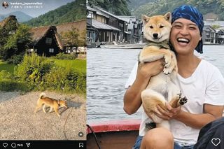 柴犬とてくてく徒歩で日本一周　インスタフォロワー200万人、日本の美しさ世界に発信