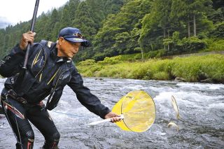 アユロード　第2章　＜28＞　良型湖産に沸き立つ　梅雨の足羽川躍る　福井県　