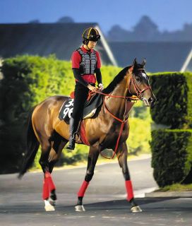 アーモンドアイグッズでチャリティーオークション シルク